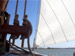 zeeschouw foto