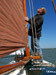 grundel friesland