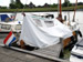 foto zeegrundel