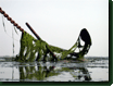 zeeschouw boeken huur